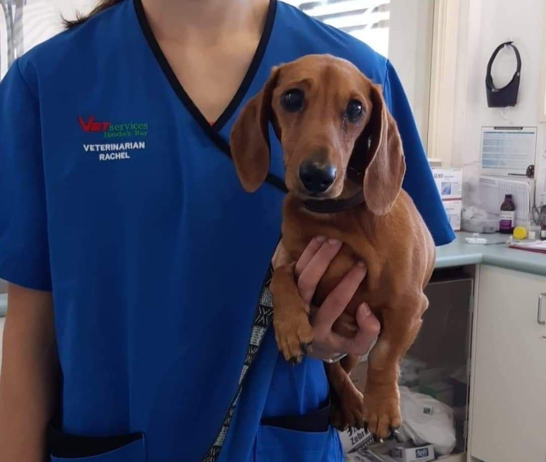 141260499_141427591127236_438984520725128935_n