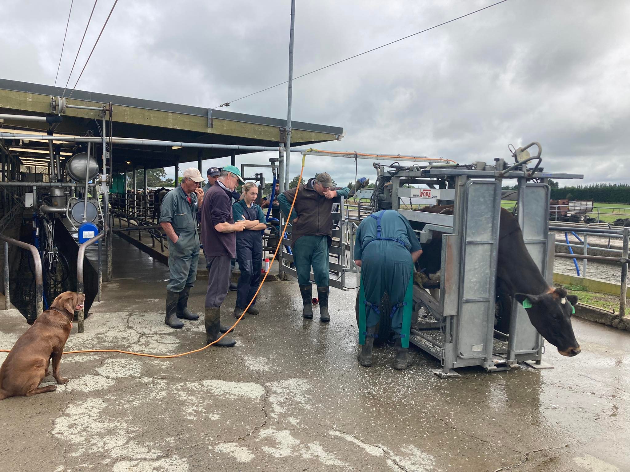 262522290_1805177519689256_3795182179302968561_n