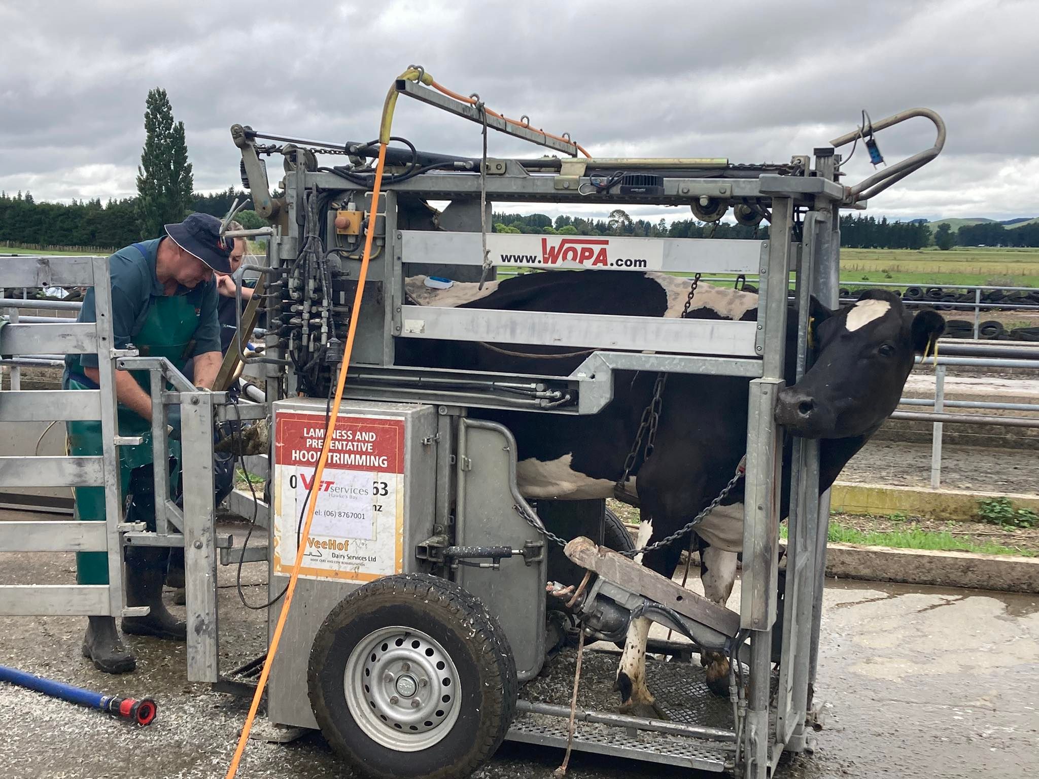 262917728_854975258531481_400150777405599859_n