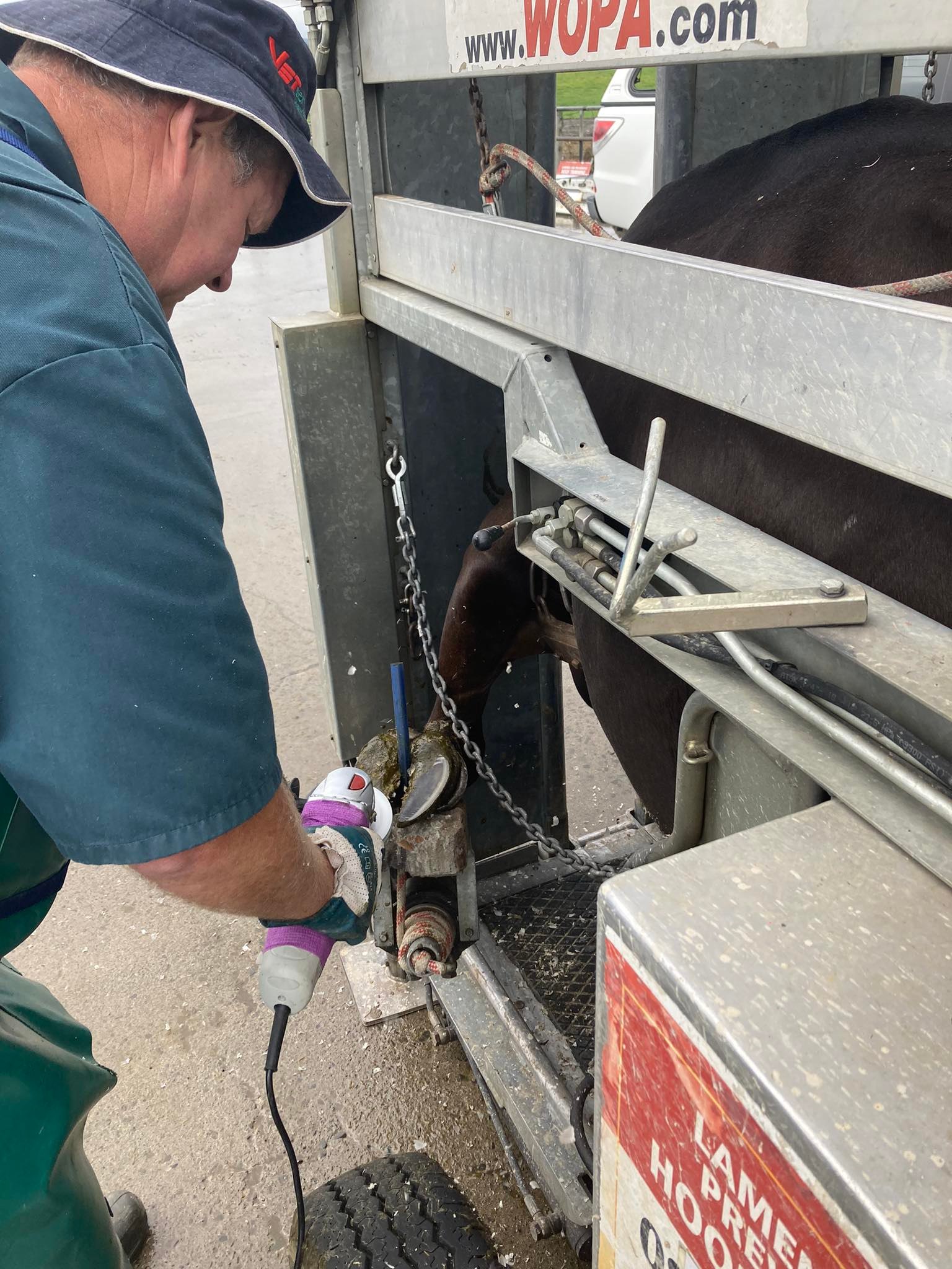 263890139_611199016868673_4719697190786750115_n