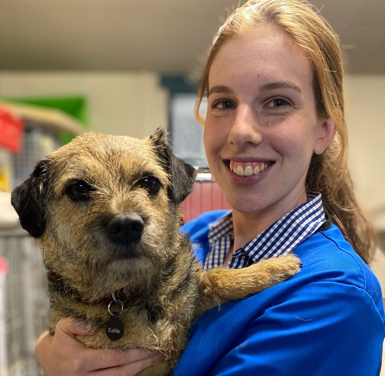 Careers, Work Experience & Scholarships – Vet Services Hawke's Bay Careers, Work Experience & Scholarships – Vet Services Hawke's Bay