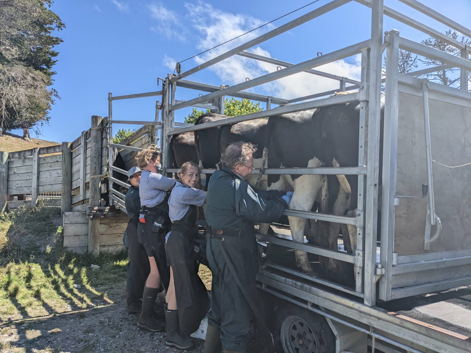 273029523_4747356468653216_7788044454514968856_n