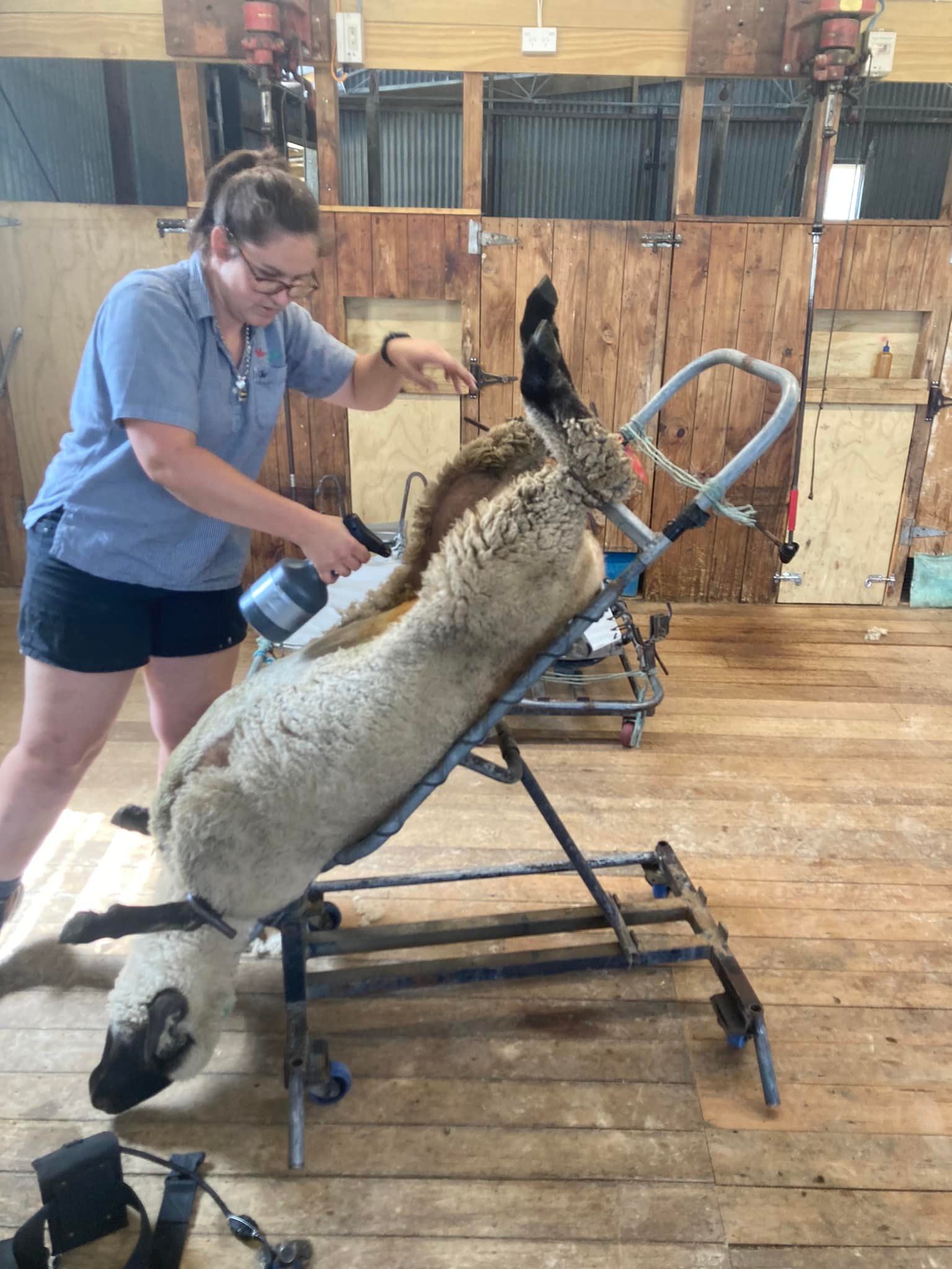 275441976_733041501436213_5591085921246718809_n