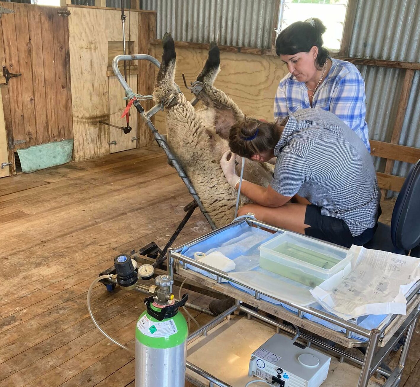 275550419_733041491436214_283968410806906968_n