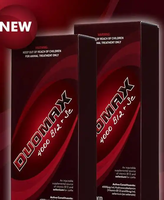 Image for choice number 5