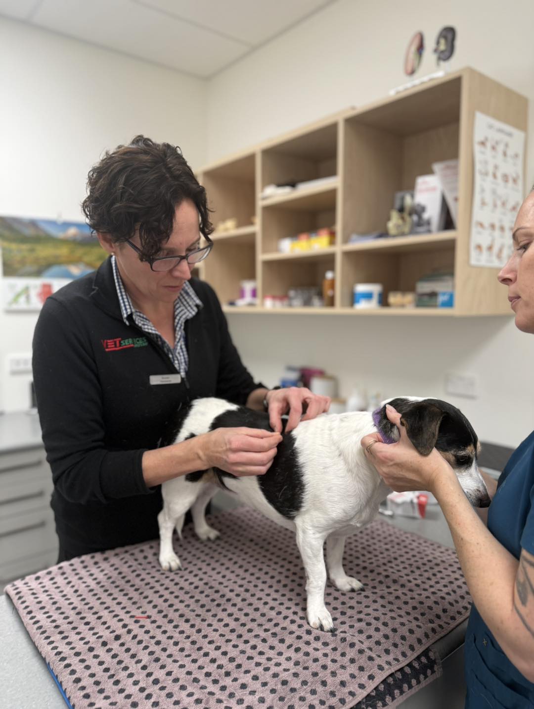 506211282_1264005175729356_6093435690020450964_n