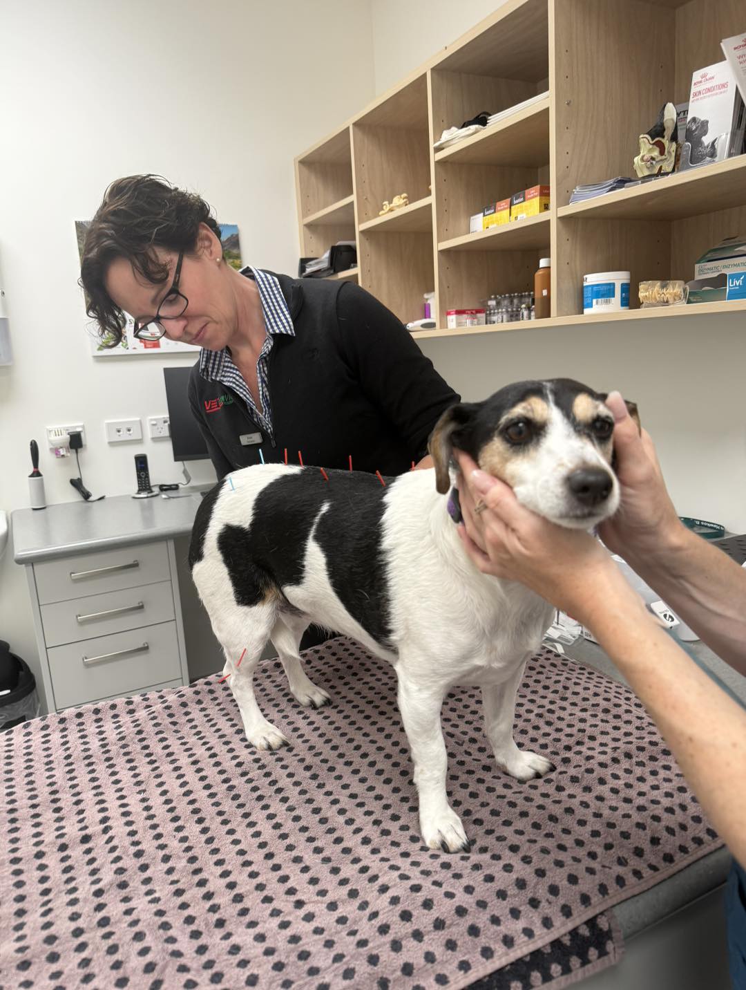 506274446_1264005182396022_4874736458101618401_n