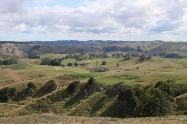 Photo by Mum of a Shepherd green grass field under white clouds during daytime