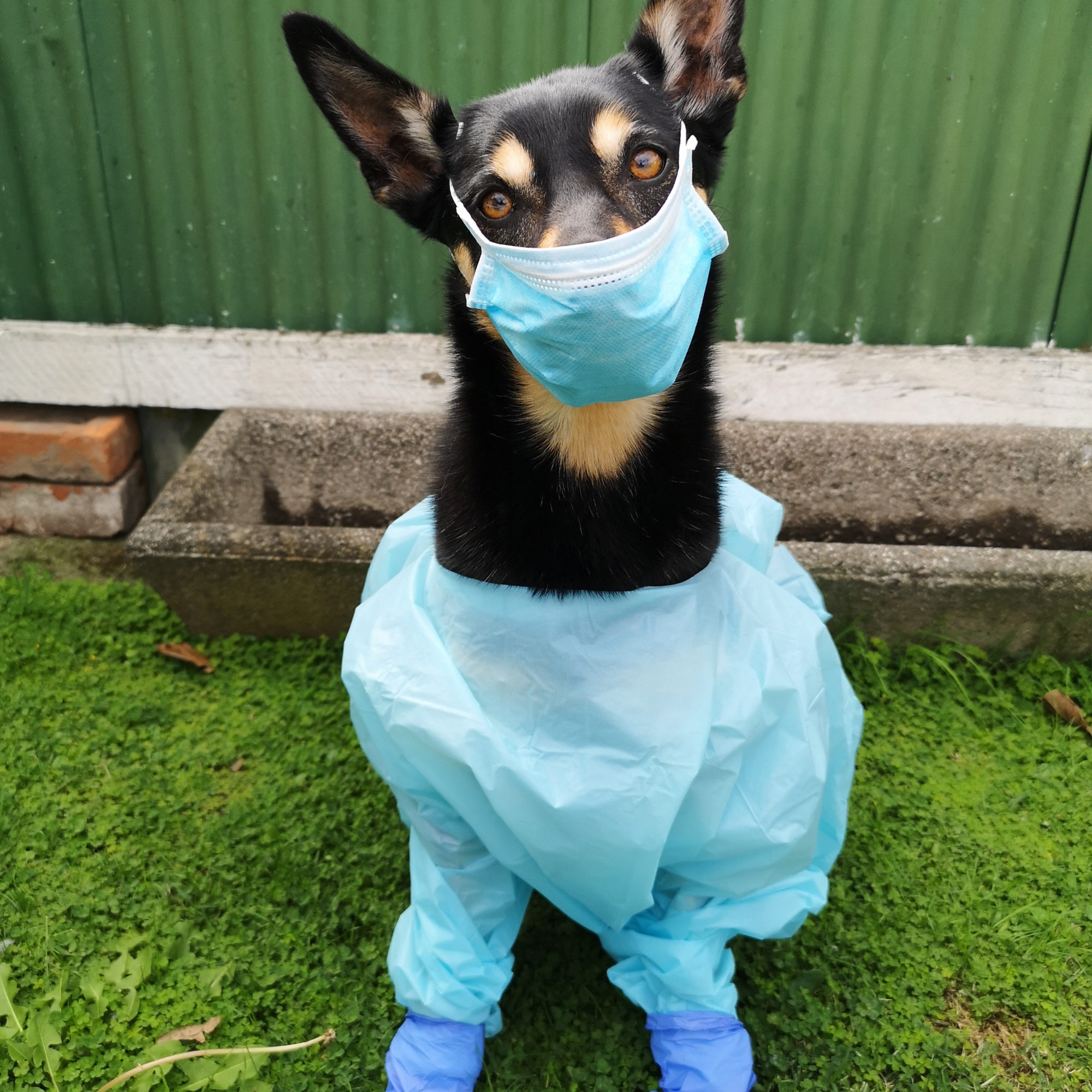 8F349FD1-743F-4725-AA84-0EA4B5051DDF