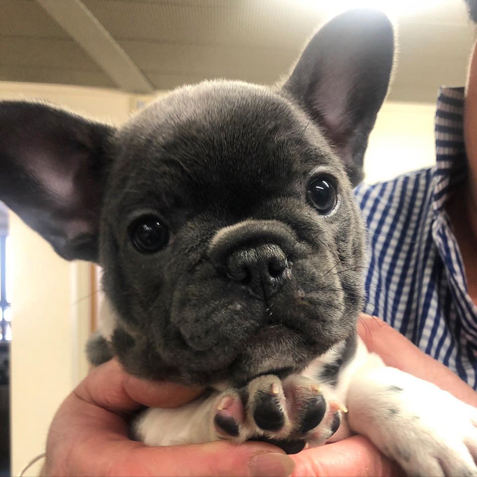 99094642_140668584224507_1069722138337869824_o