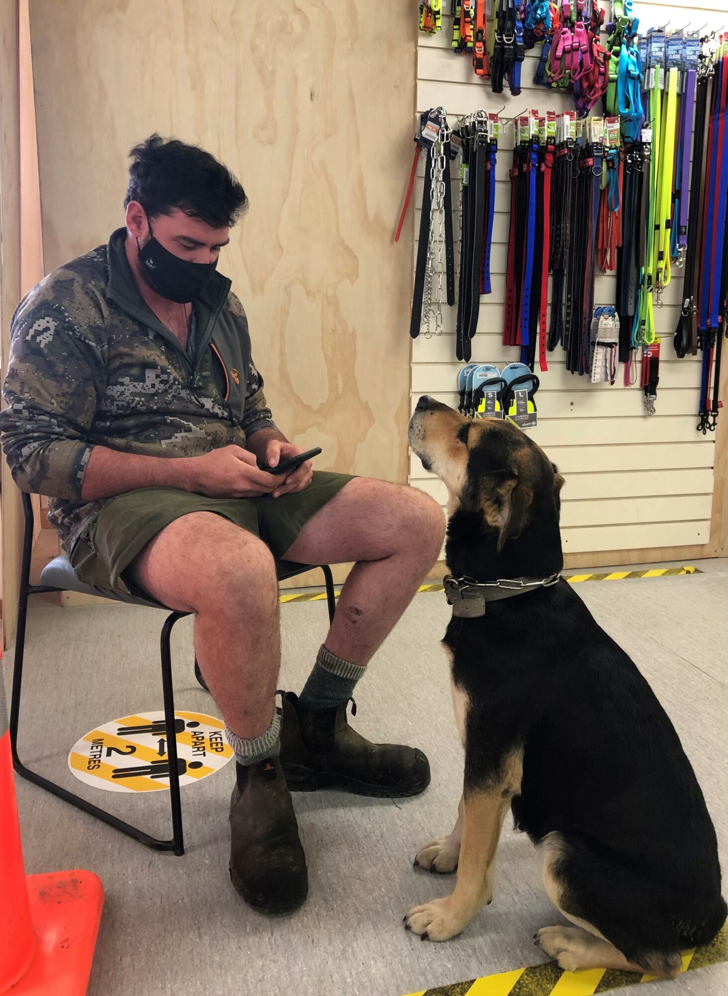 Brewer loves her dog