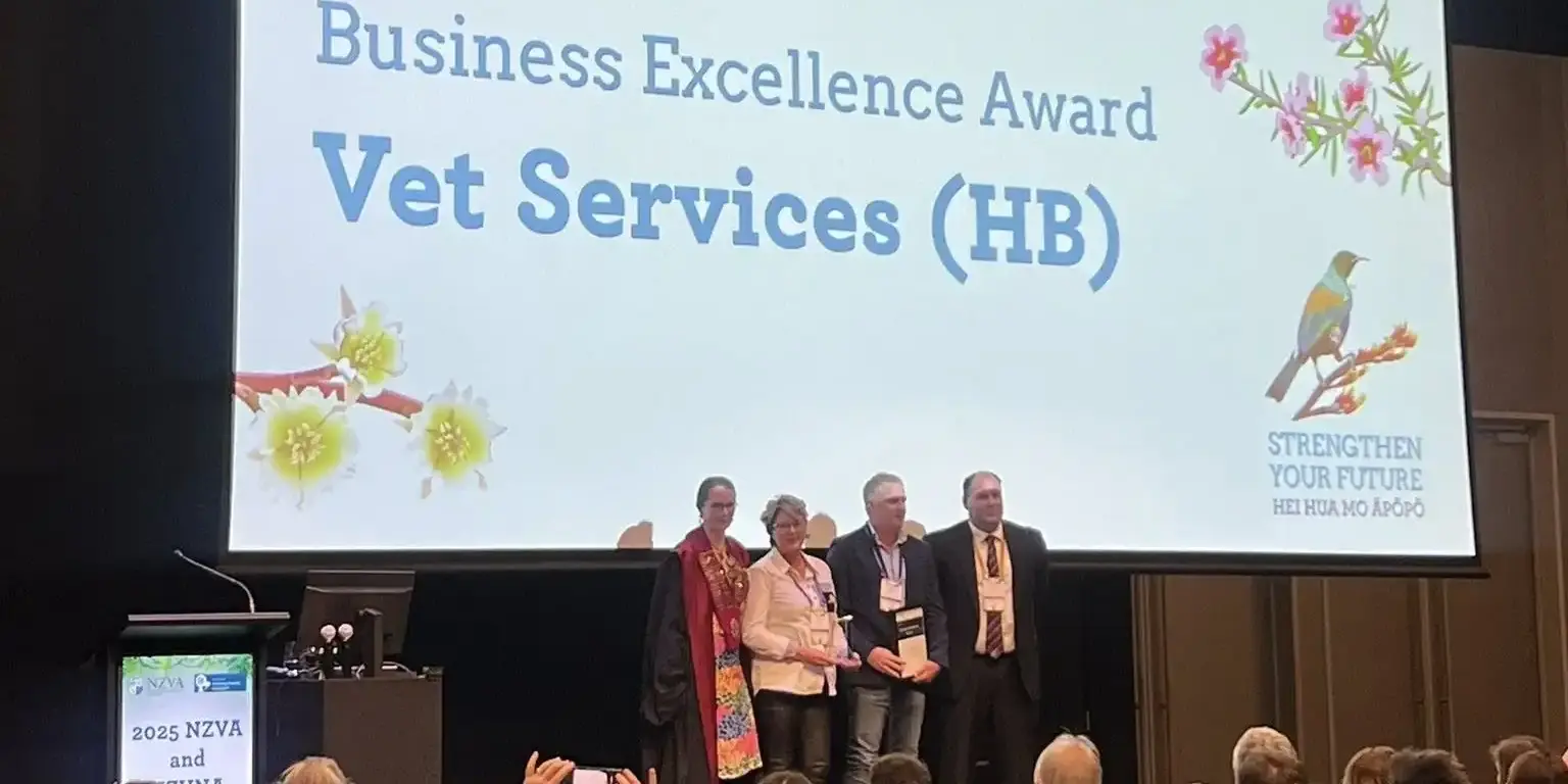 Business Excellence Award at NZVA 25