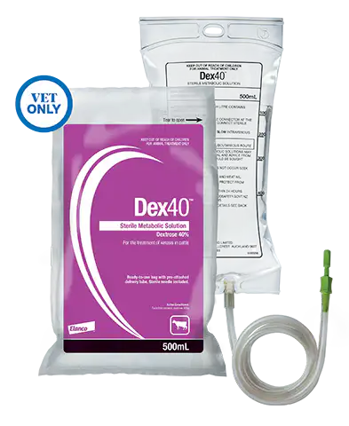 Image for choice number 4