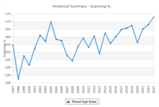 Ewe scanning 1