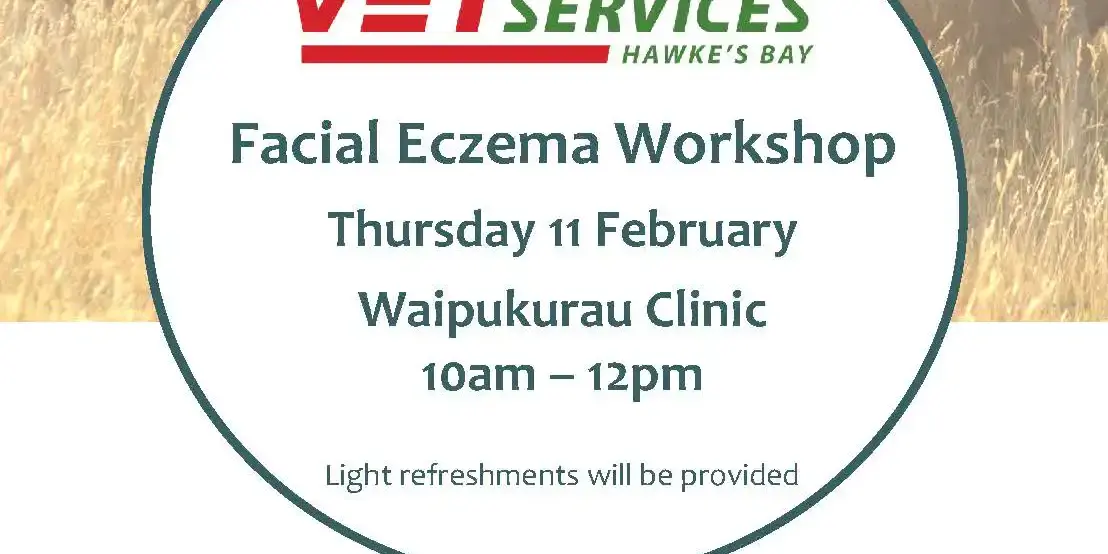 FE Workshop – Feb