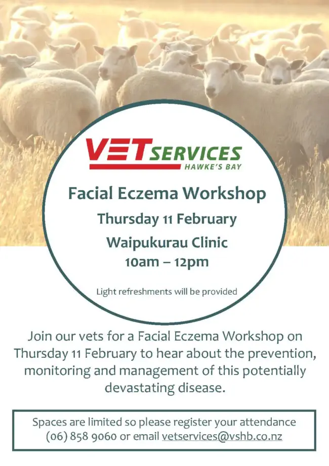FE Workshop – Feb
