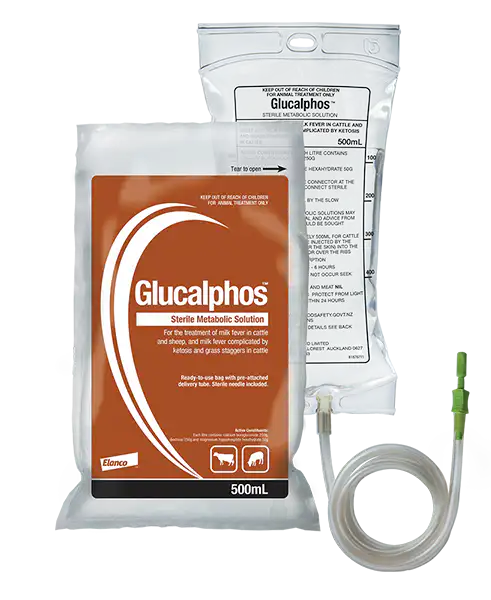 Image for choice number 5