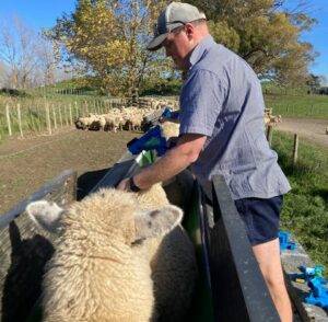 Hamish Conveyor