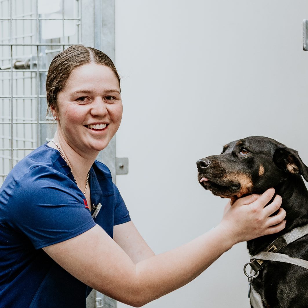 Lisa Fisher Photography - Vet Services Hawkes Bay CHB - High Resolution-120
