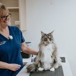 Lisa Fisher Photography - Vet Services Hawkes Bay CHB - High Resolution-131