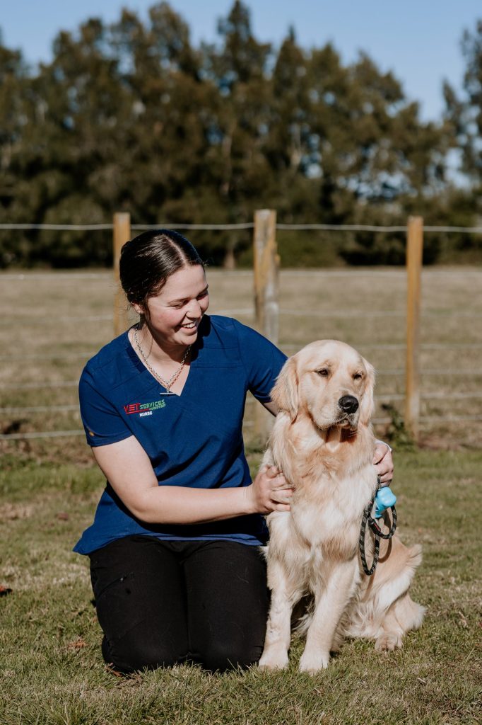 Lisa Fisher Photography - Vet Services Hawkes Bay CHB - High Resolution-19