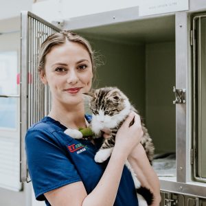 Lisa Fisher Photography - Vet Services Hawkes Bay CHB - High Resolution-28