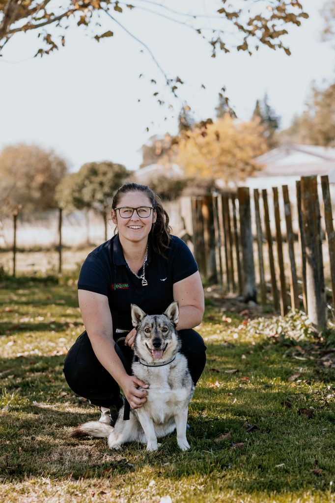 Lisa Fisher Photography - Vet Services Hawkes Bay CHB - High Resolution-61