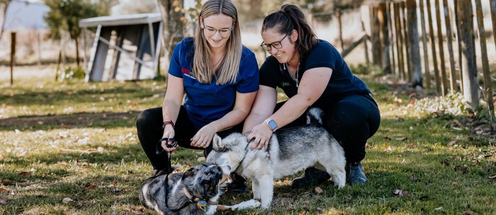 Lisa Fisher Photography - Vet Services Hawkes Bay CHB - High Resolution-62