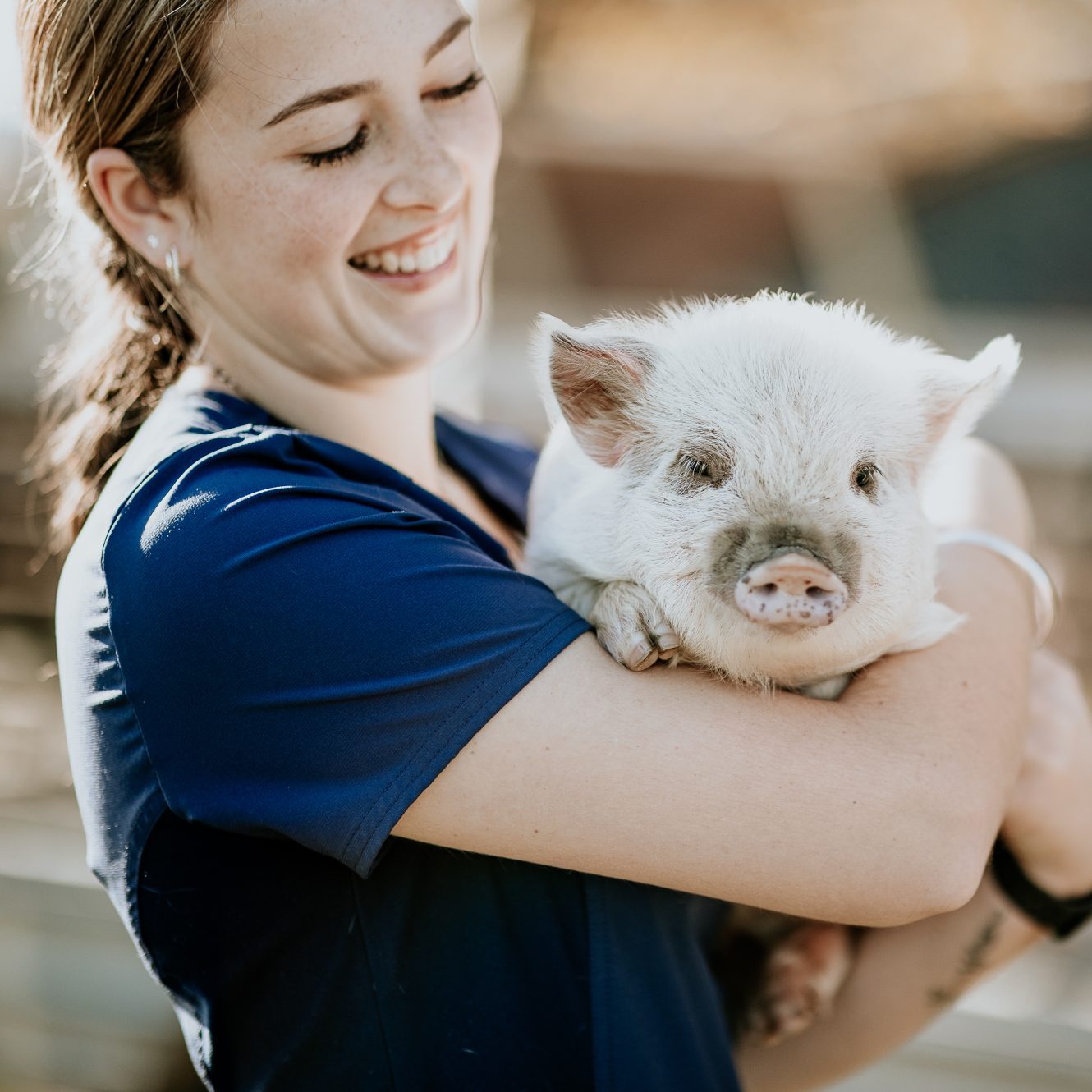Lisa Fisher Photography - Vet Services Hawkes Bay CHB - High Resolution-9