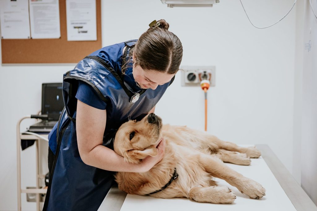 Lisa Fisher Photography - Vet Services Hawkes Bay CHB - High Resolution-99