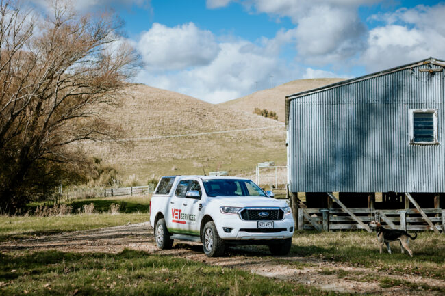 Lisa Fisher Photography – Vet Services Hawkes Bay CHB – Web Social Media-146