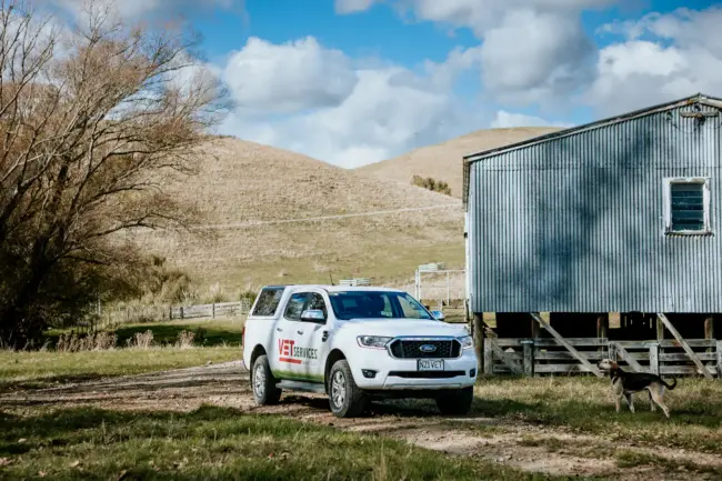 Lisa Fisher Photography – Vet Services Hawkes Bay CHB – Web Social Media-146