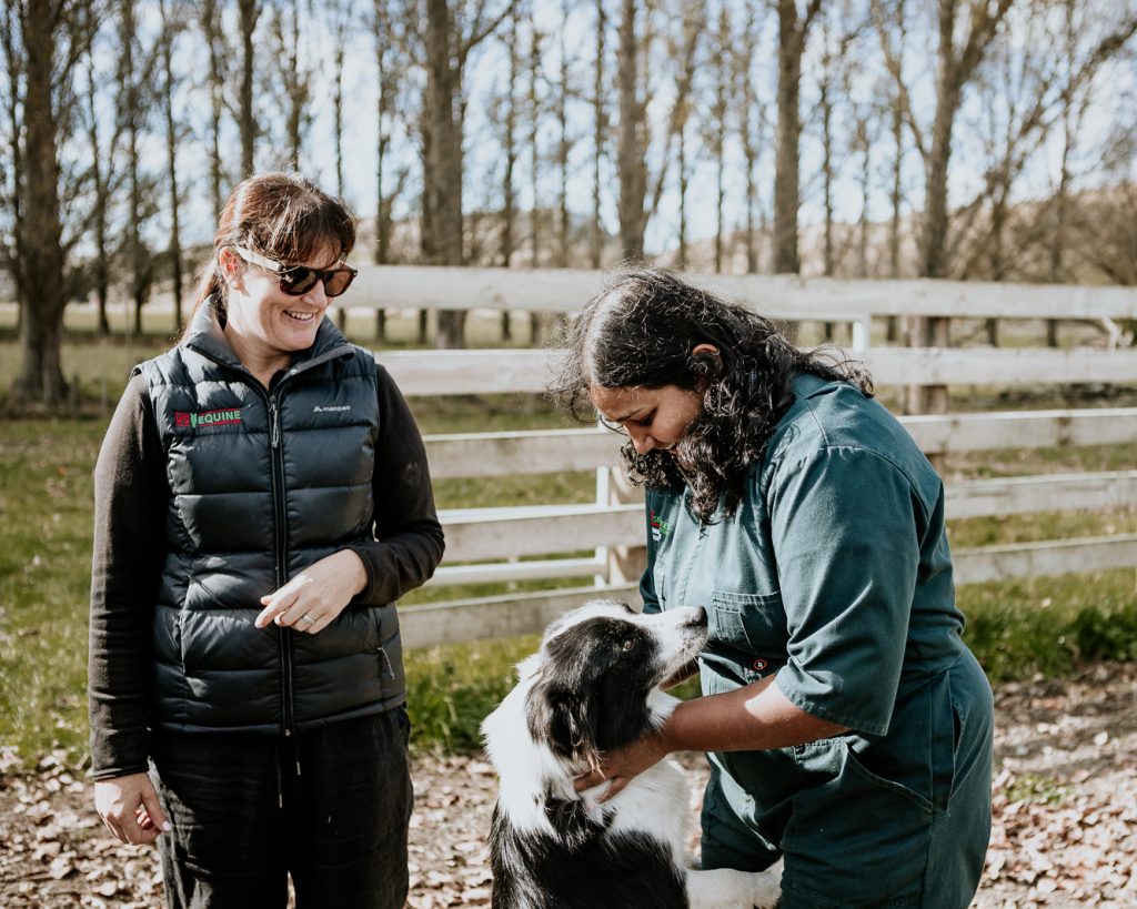 Lisa Fisher Photography - Vet Services Hawkes Bay CHB - Web Social Media-175