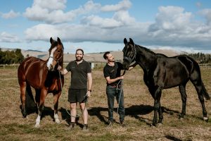 Lisa Fisher Photography - Vet Services Hawkes Bay CHB - Web Social Media-214