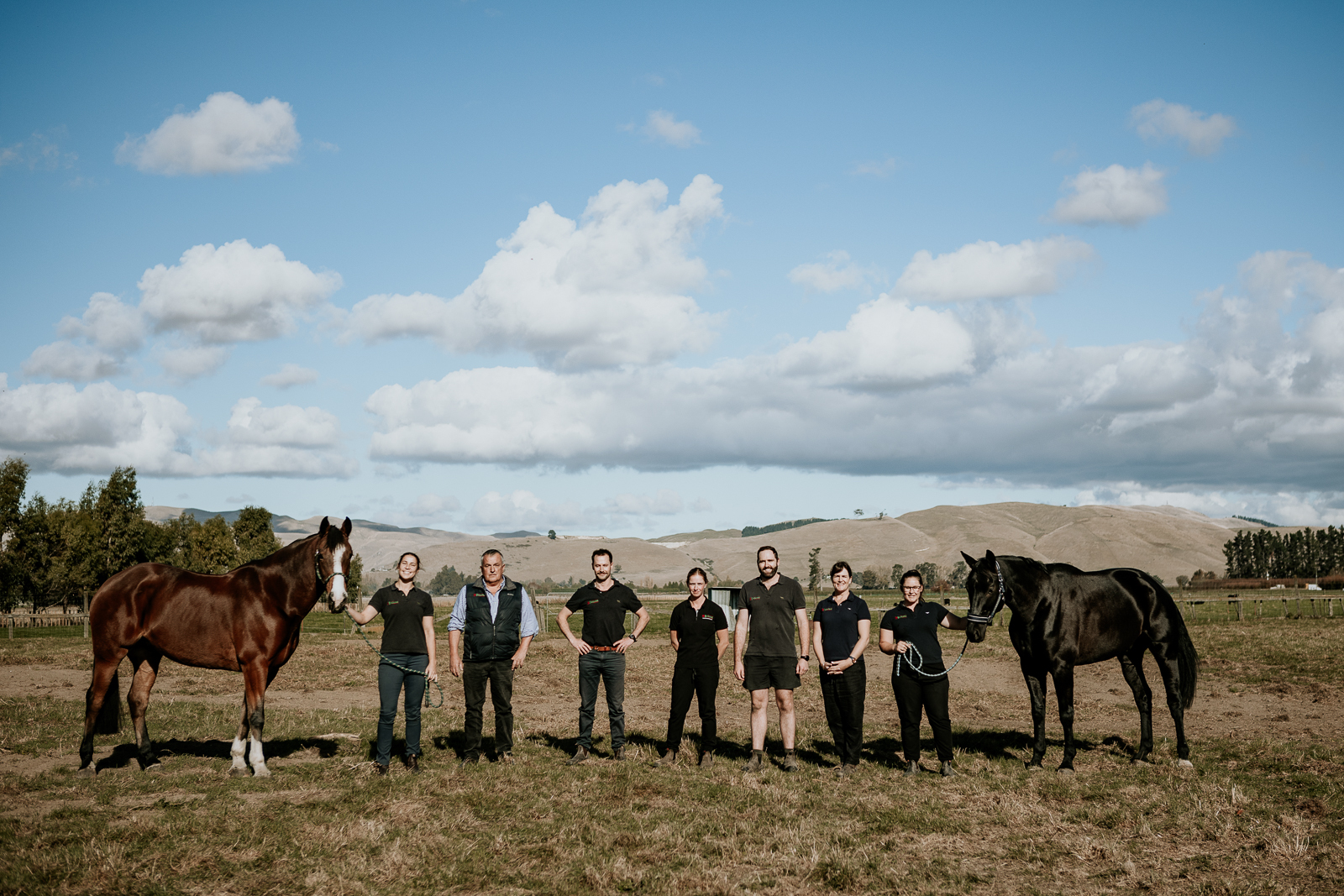 Lisa Fisher Photography - Vet Services Hawkes Bay CHB - Web Social Media-220