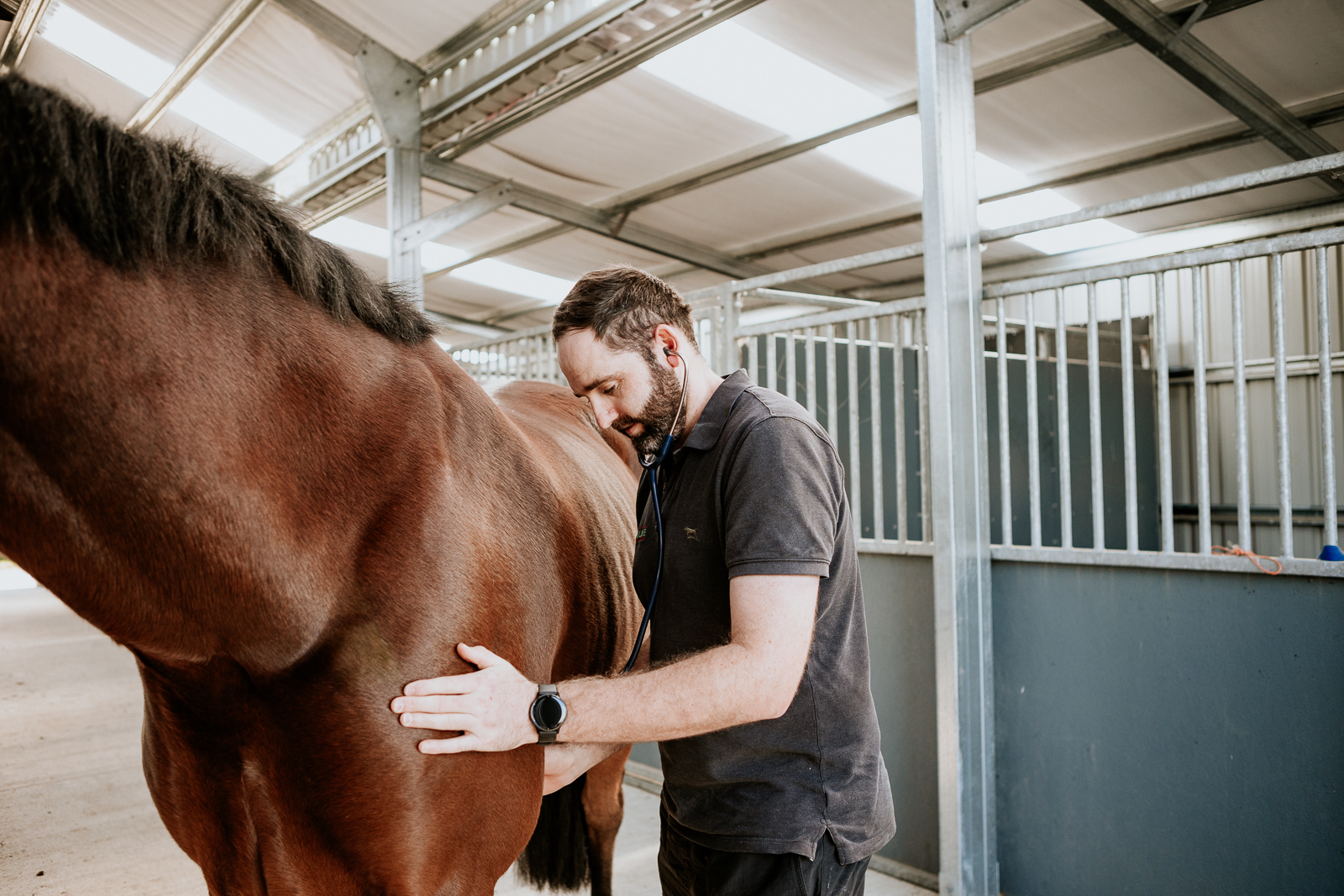 Lisa Fisher Photography - Vet Services Hawkes Bay CHB - Web Social Media-229