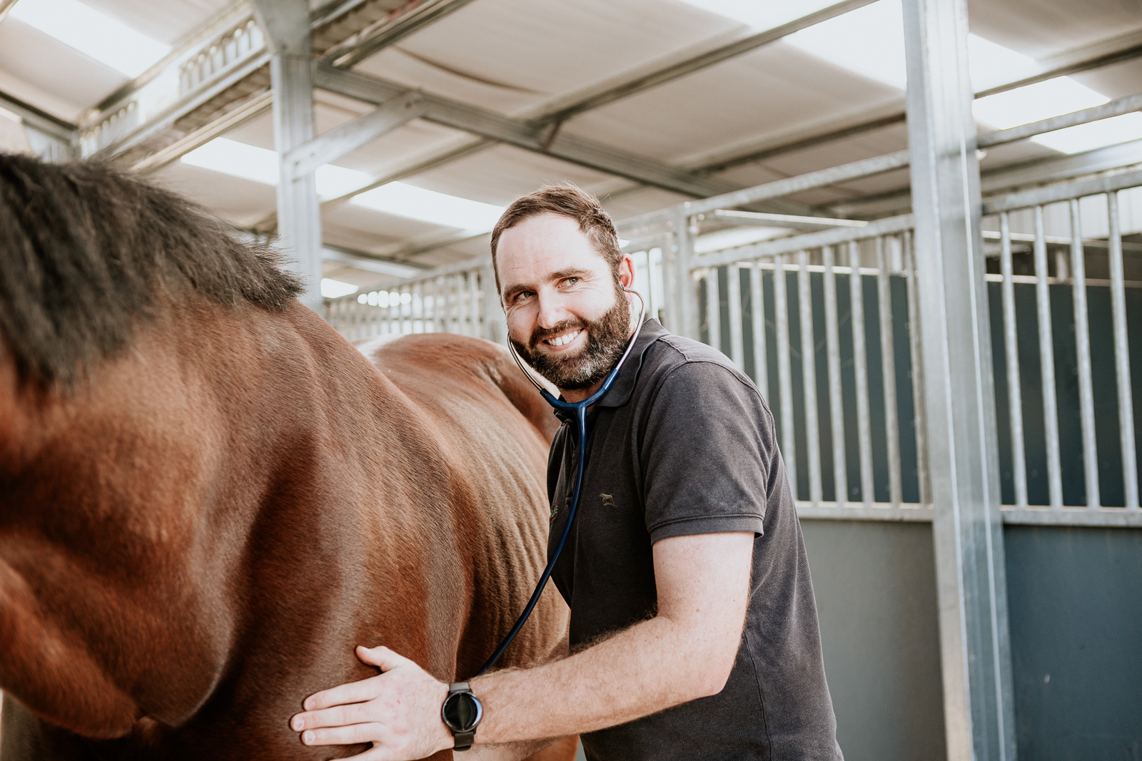 Lisa Fisher Photography - Vet Services Hawkes Bay CHB - Web Social Media-230