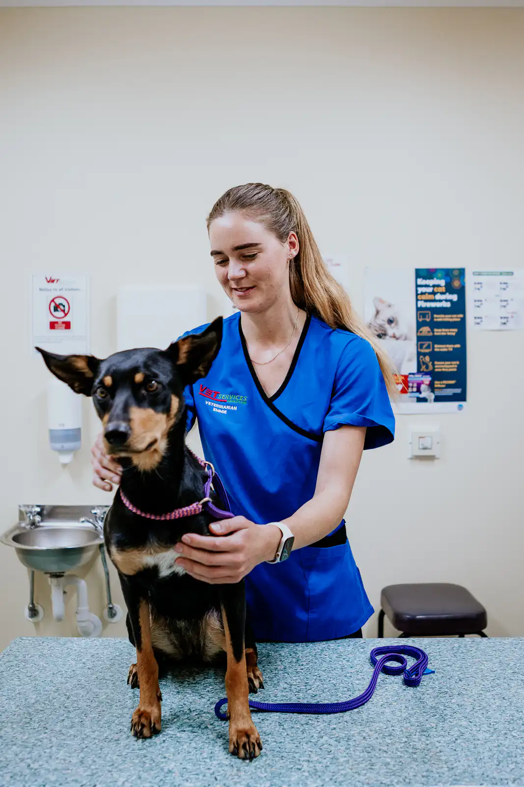 Lisa Fisher Photography - Vet Services Hawkes Bay Hastings -High Resolution-52