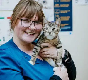 Lisa Fisher Photography - Vet Services Hawkes Bay Hastings -Web Social Media-60