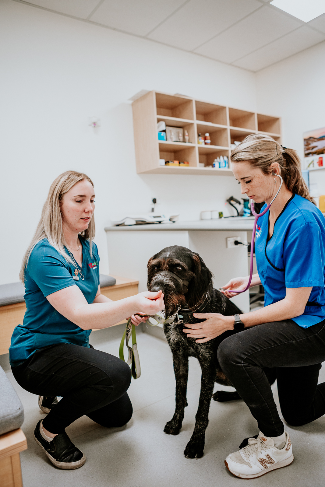 Lisa Fisher Photography - Vet Services Hawkes Bay Napier - Web Social Media-48