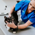 Lisa Fisher Photography - Vet Services Hawkes Bay Napier - Web Social Media-59