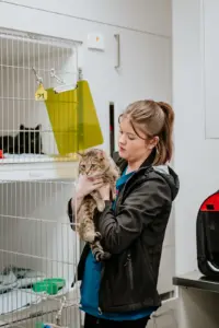 Lisa Fisher Photography - Vet Services Hawkes Bay Napier - Web Social Media-92