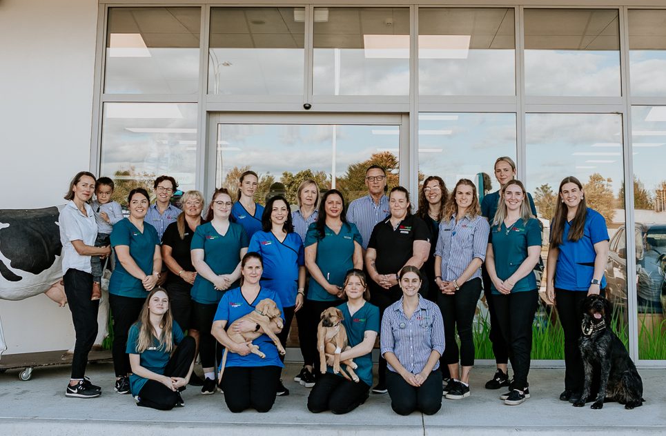 Lisa Fisher Photography - Vet Services Hawkes Bay Napier - Web Social Media-96