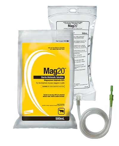 Image for choice number 6