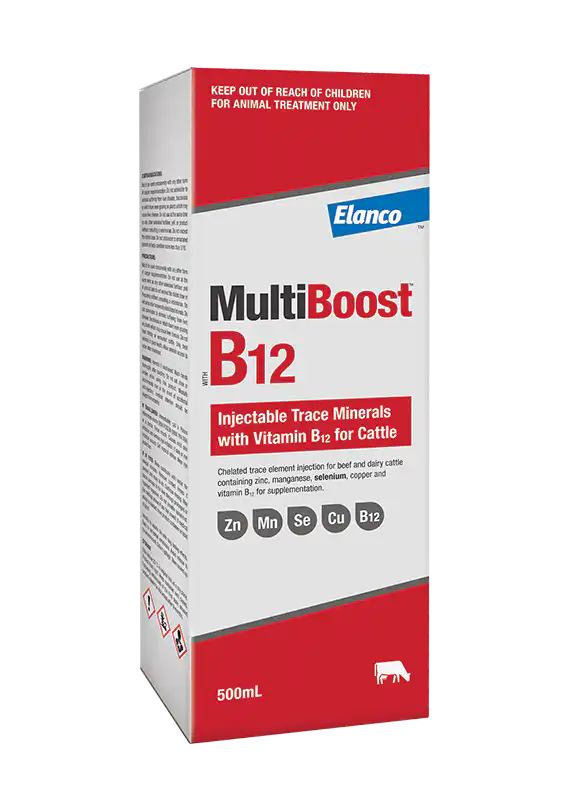 Image for choice number 4