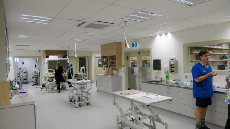New Prep Room with plenty of space for multiple procedures