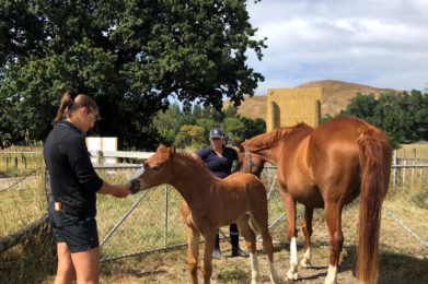 Nic & foal