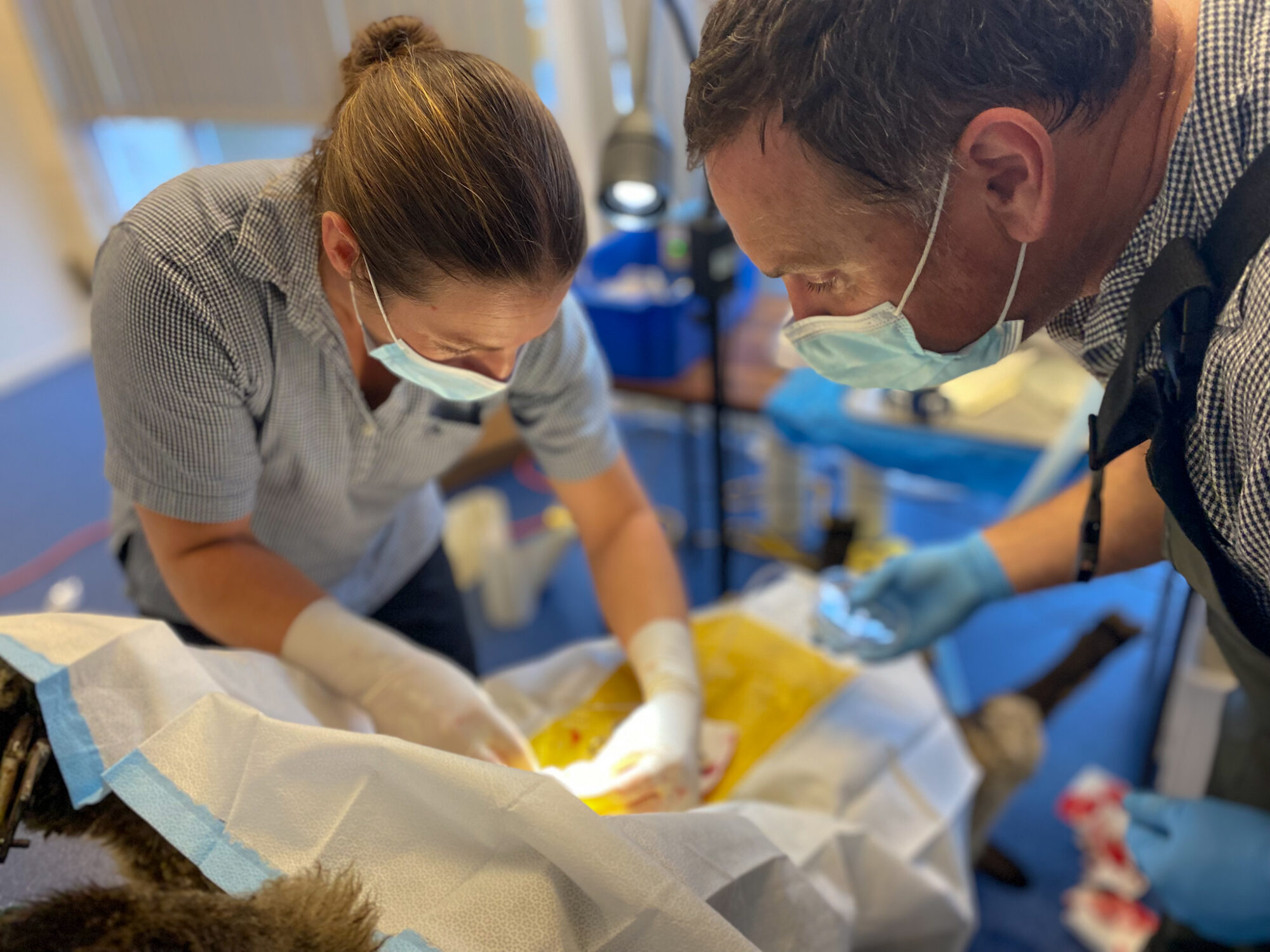 Photo 23-03-22, 10 21 02 AM