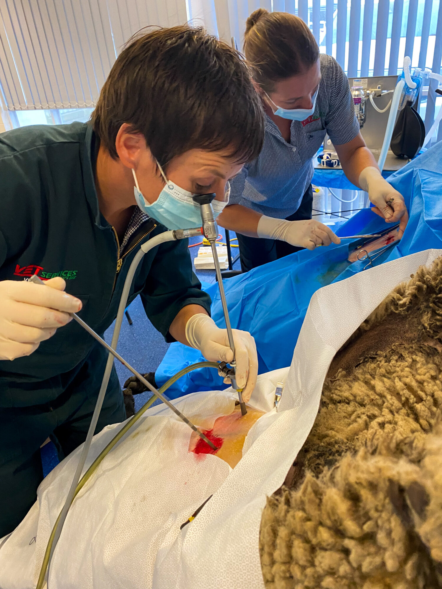 Photo 23-03-22, 11 03 29 AM