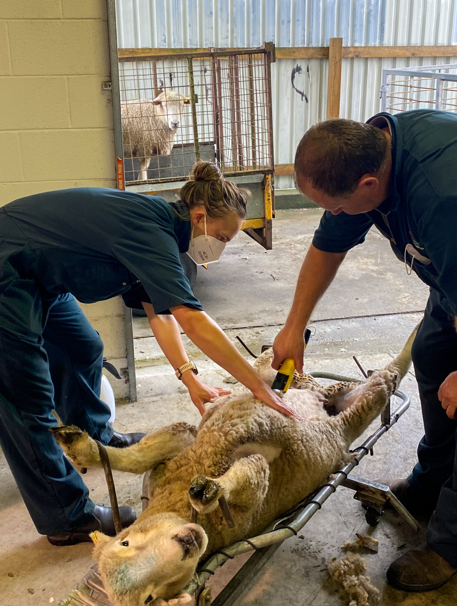 Photo 23-03-22, 11 14 08 AM